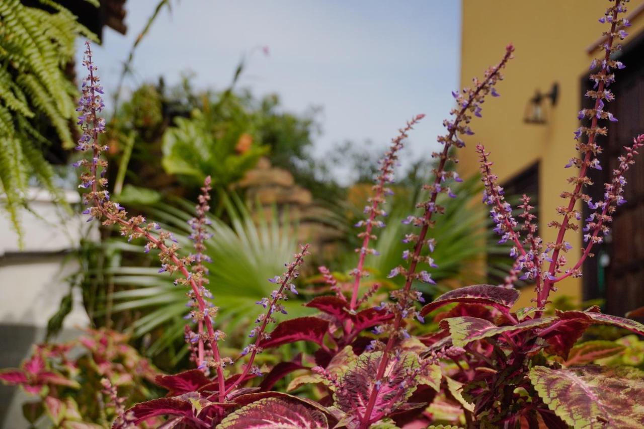Pousada Dunasol Floripa Флорианополис Экстерьер фото